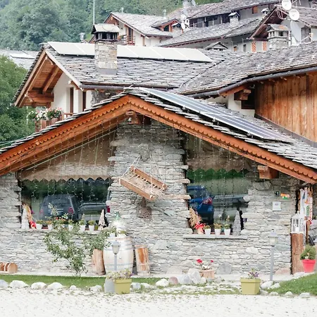 Achillea * Rhemes-Saint-Georges