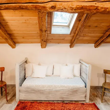 Achillea * Rhemes-Saint-Georges