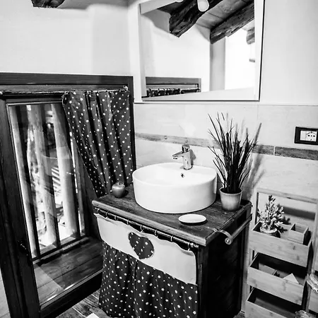 Achillea * Rhemes-Saint-Georges