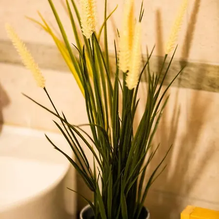 Achillea Rhemes-Saint-Georges